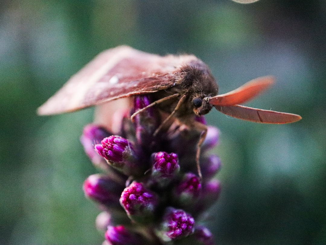Photo aromater&aacute;pi&aacute;s hengerek