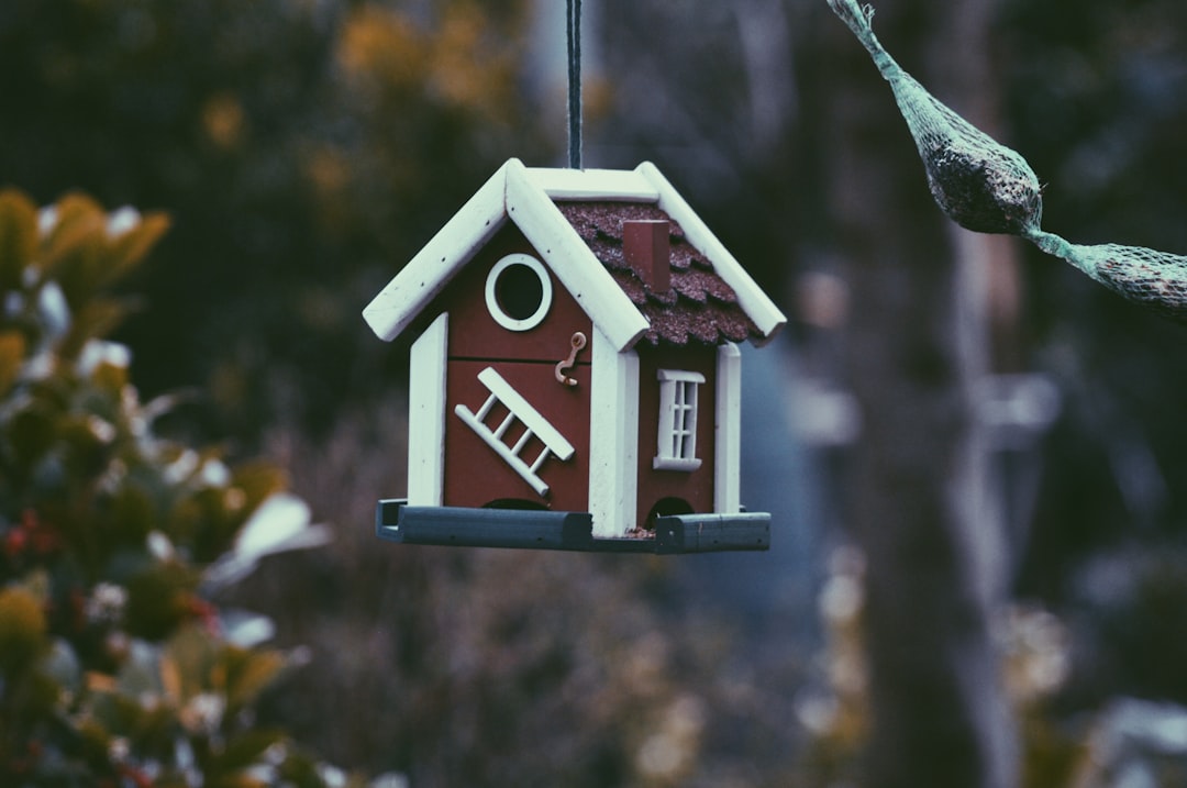 Photo home insurance