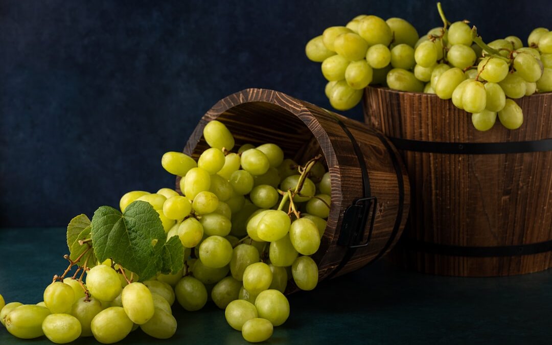 Photo apple cider vinegar