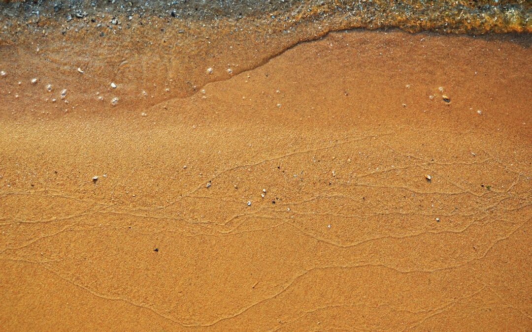Photo homoktövis oil