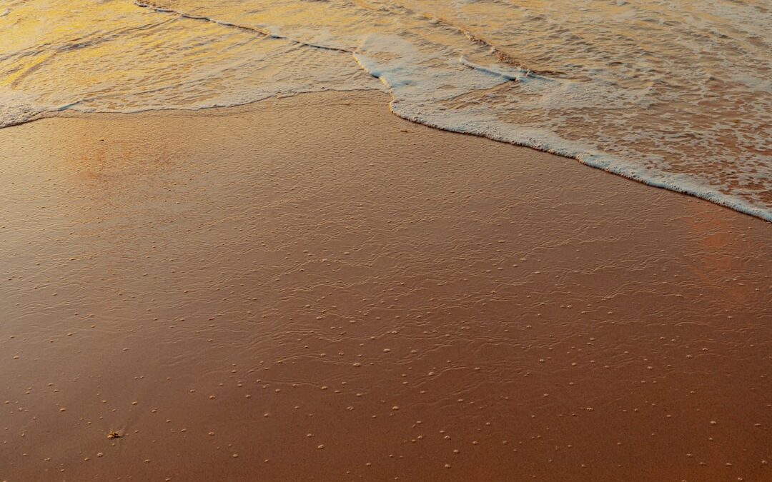 Photo homoktövis oil