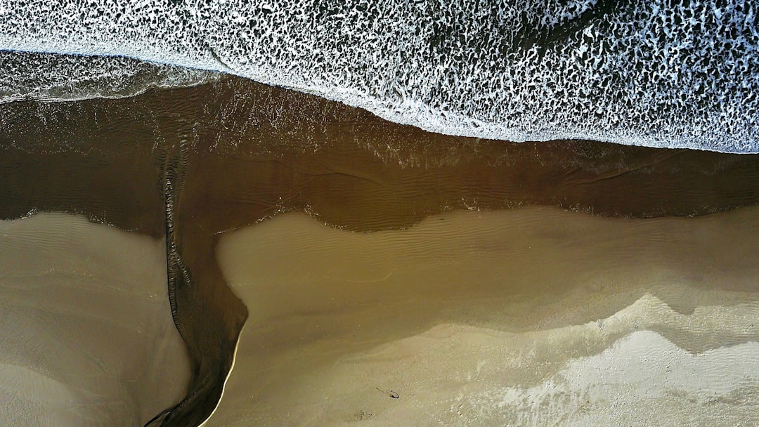 Photo homoktövis