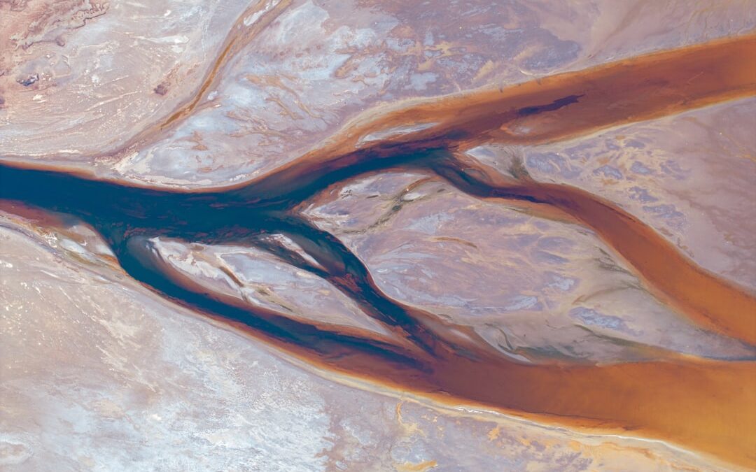Photo homoktövis oil externally