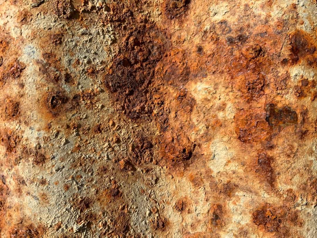Photo homokt&ouml;vis h&uacute;solaj
