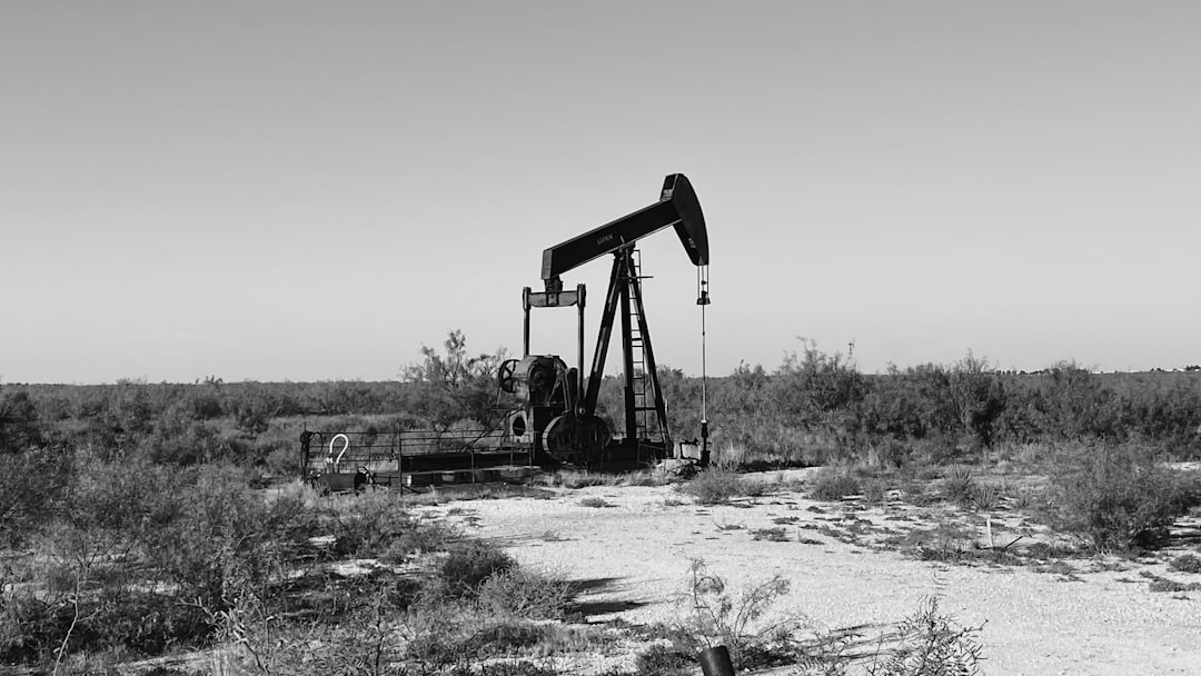 Photo homoktövis oil consumption