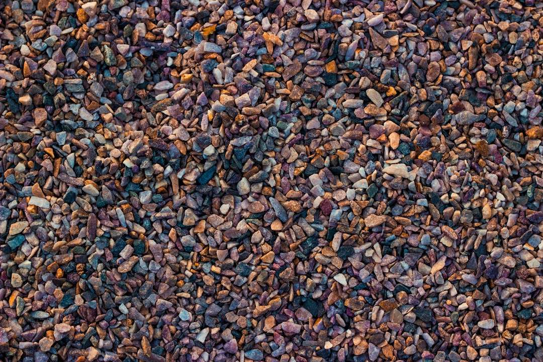 Photo sea buckthorn seed oil