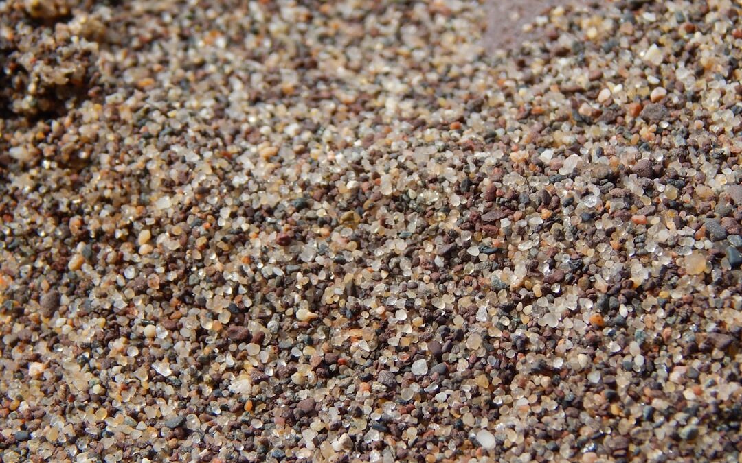 Photo sea buckthorn seed powder