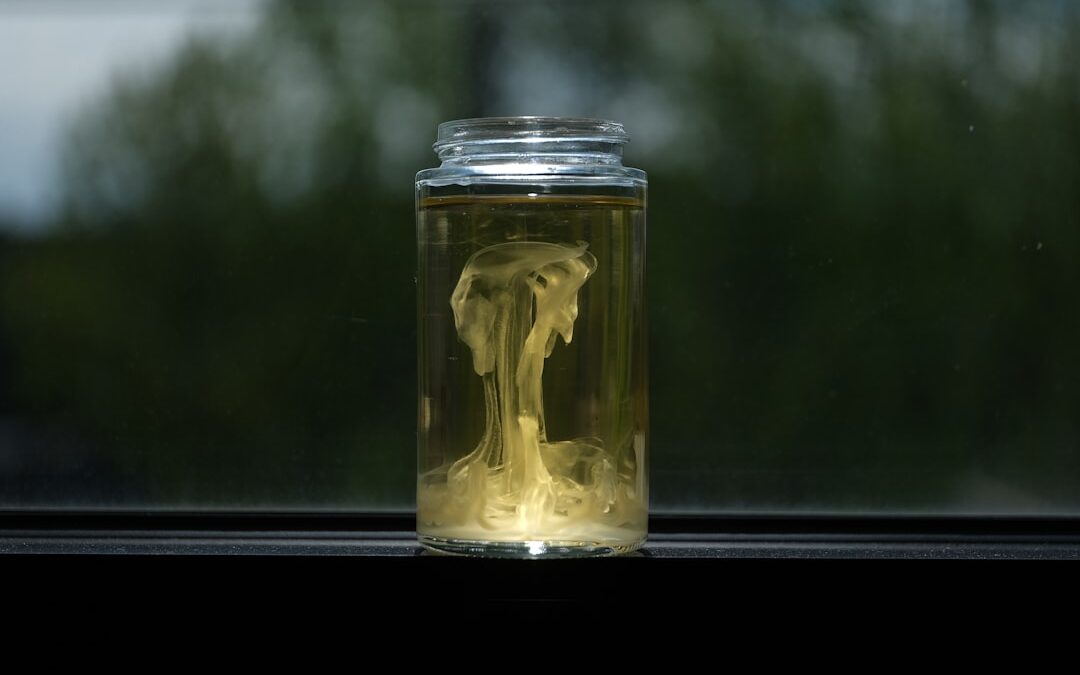 Photo homoktövis oil