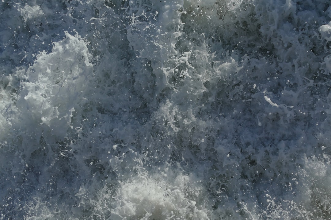 Photo frozen sea buckthorn