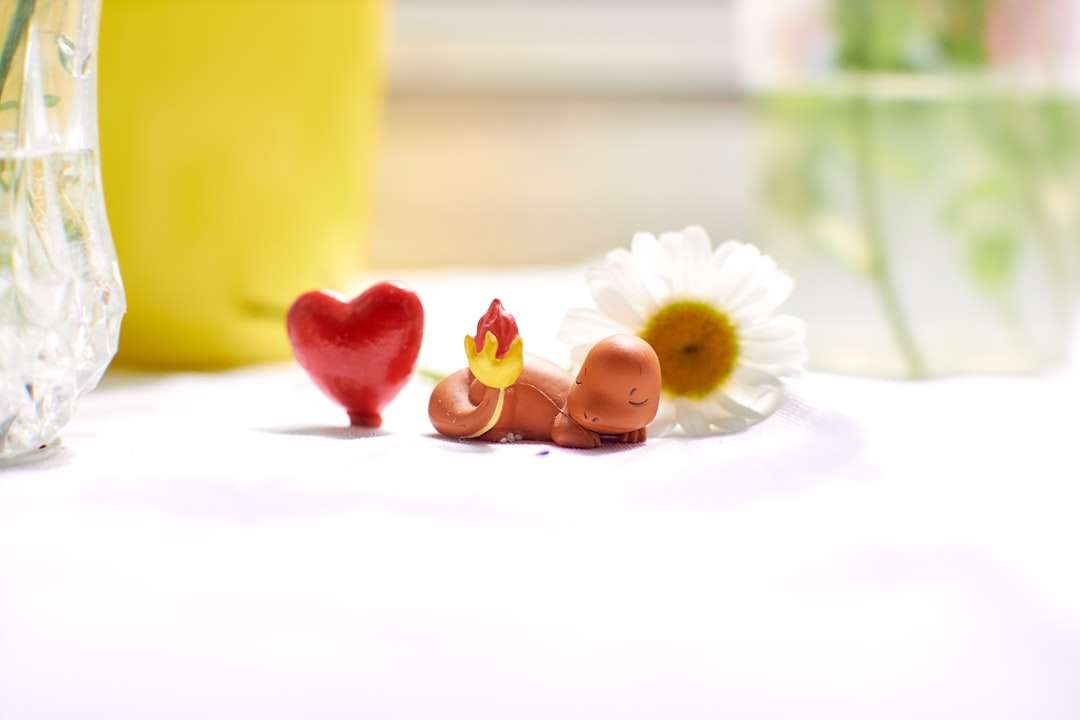 Photo heart medications