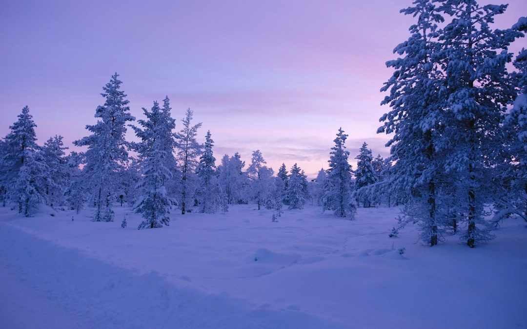 Elvarázsolt Lapland: Varázslatos Téli Kalandok UK-ban