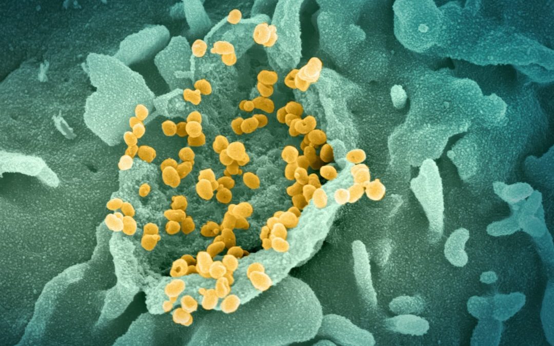 Photo bacterial infection