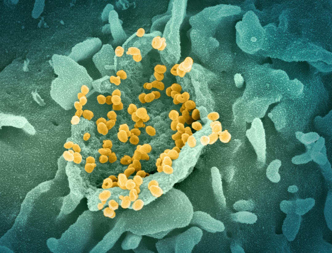 Photo bacterial infection