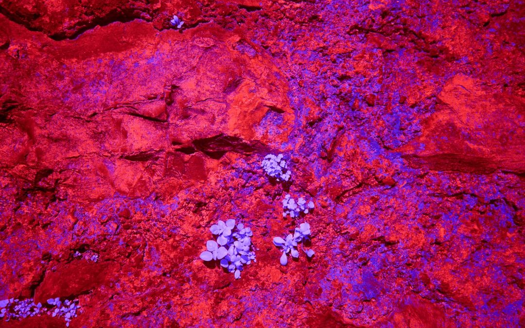 Photo lymphoma