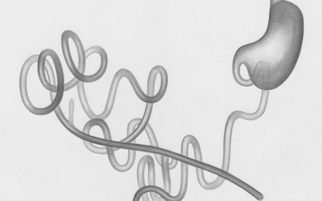 Photo intestine