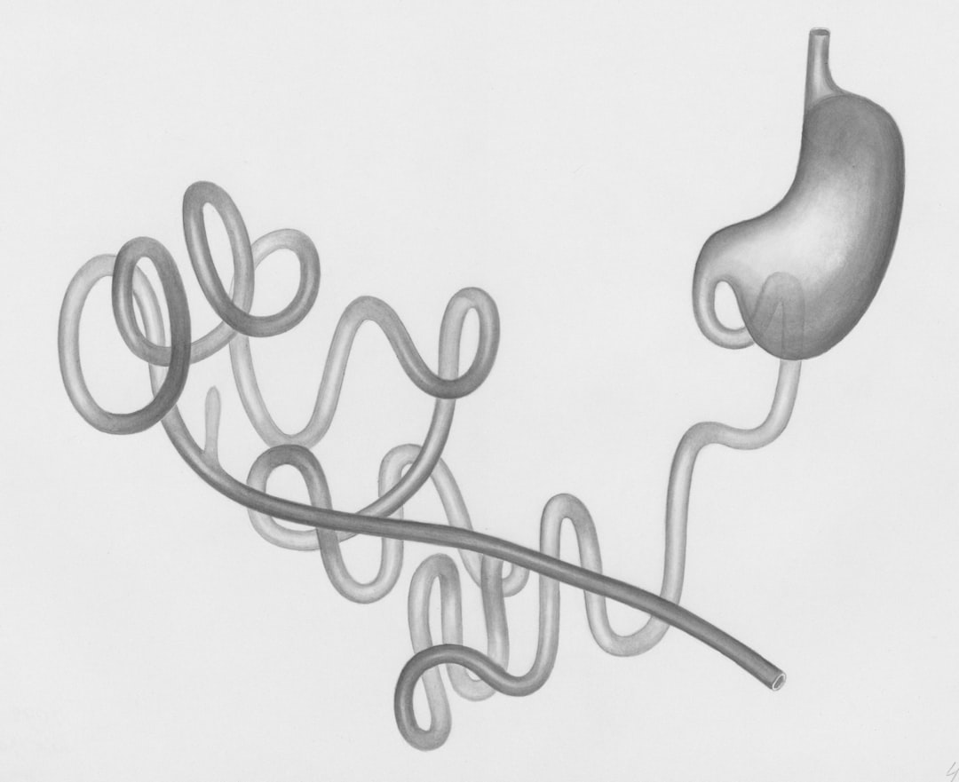 Photo intestine