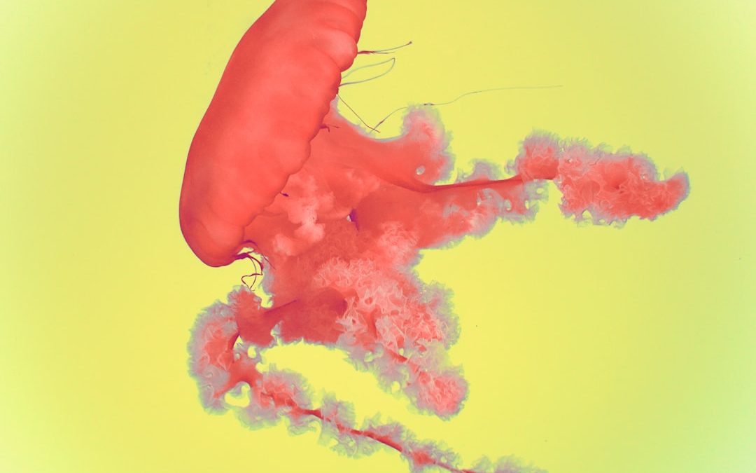 Photo colon cancer