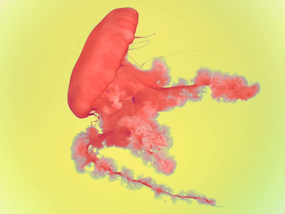 Photo colon cancer