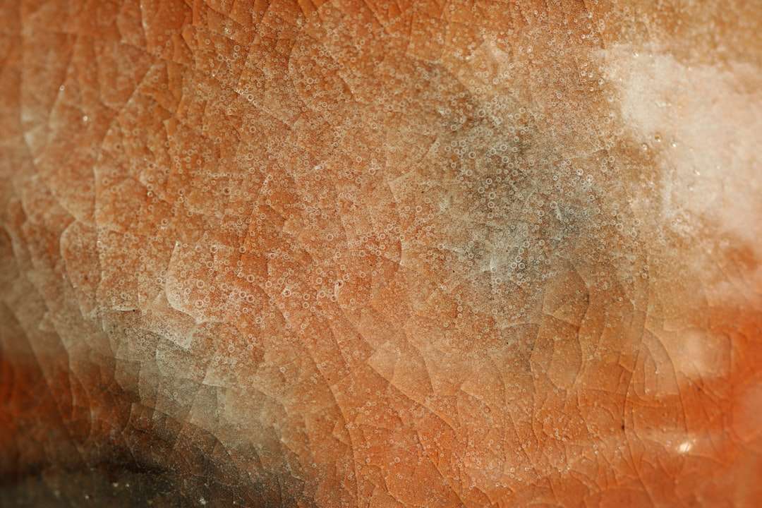 Photo bőrbetegségek okai