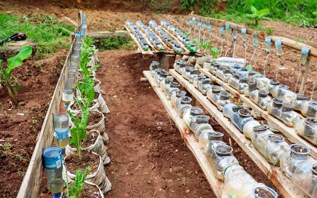 Photo colon irrigation