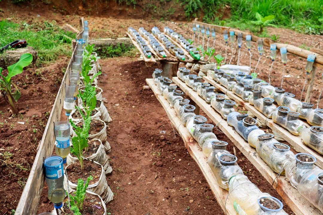 Photo colon irrigation