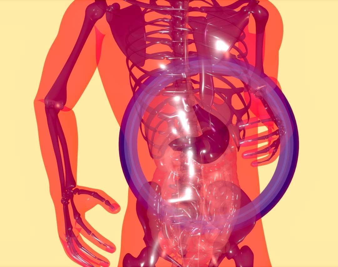 Photo small intestine