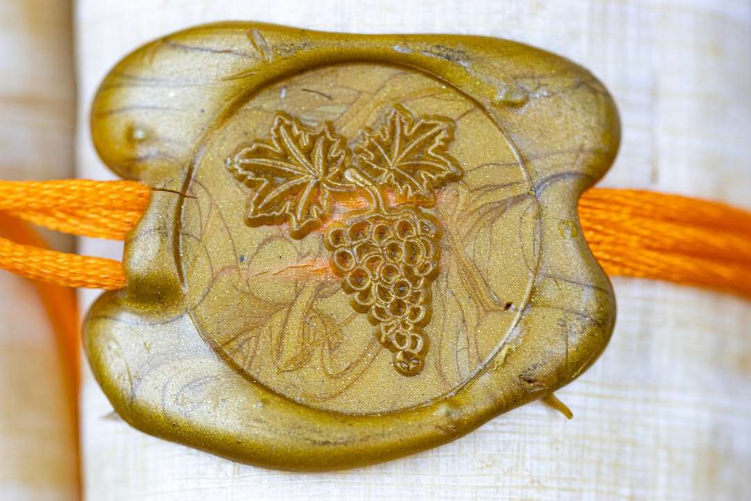 Photo small intestine
