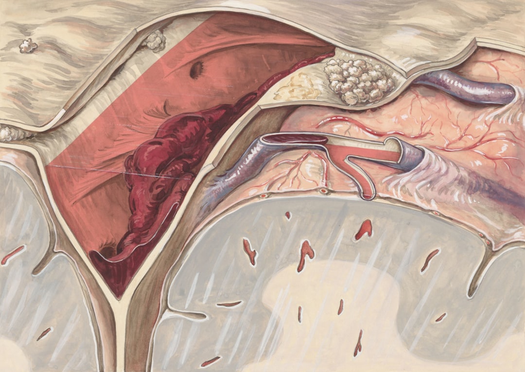Photo intestinal regeneration