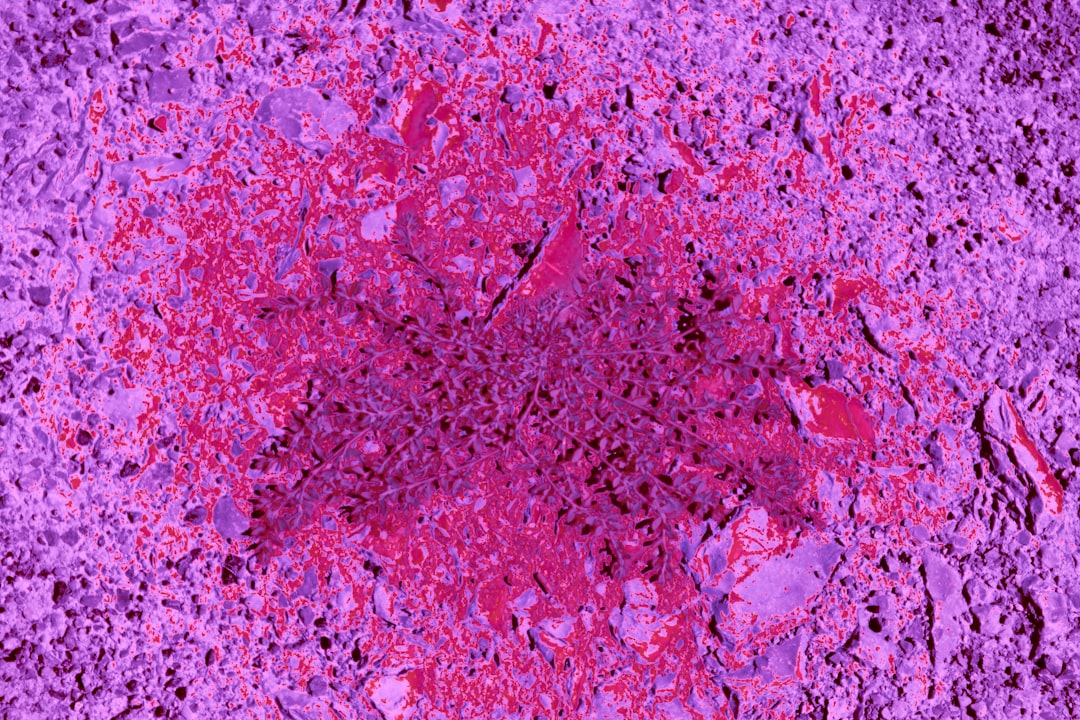 Photo lymphoma