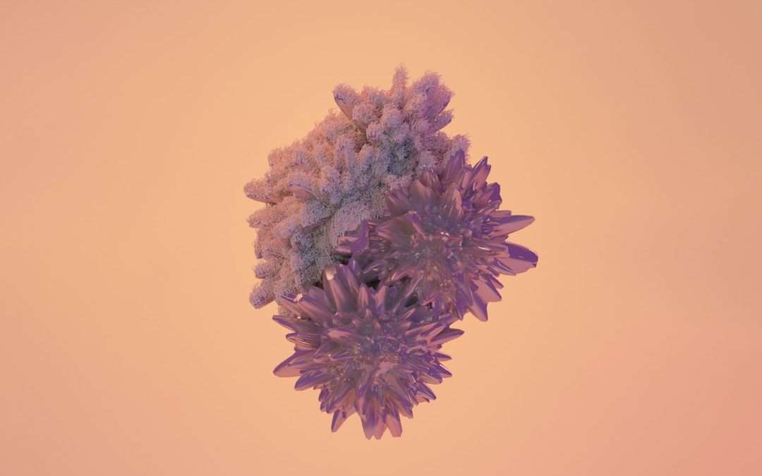 Photo malt lymphoma