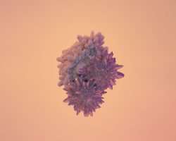 Photo malt lymphoma