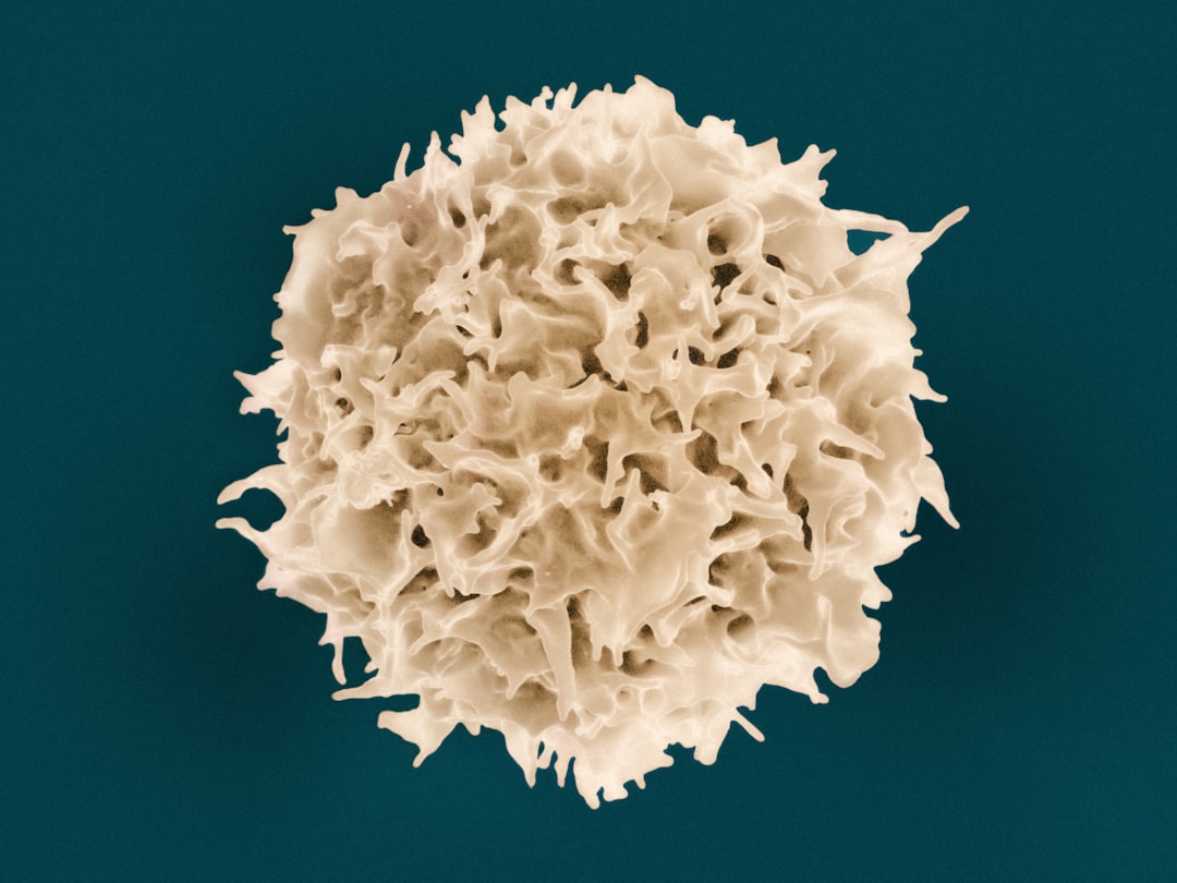 Photo lymphoma