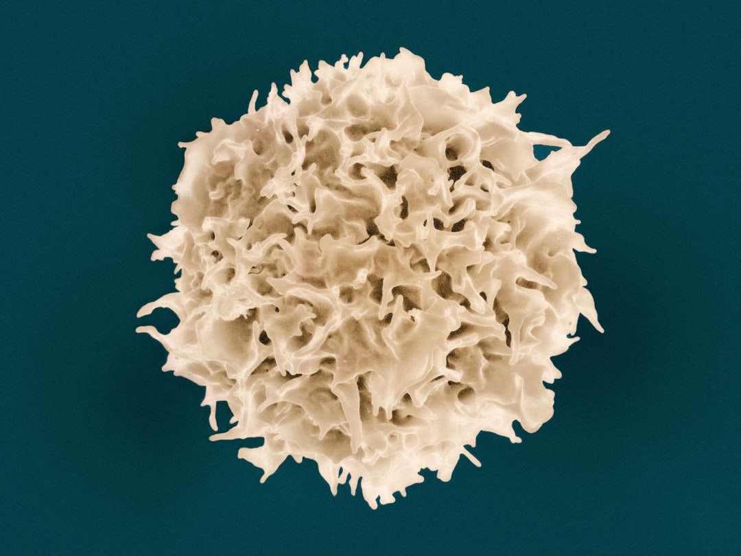 Photo lymphoma