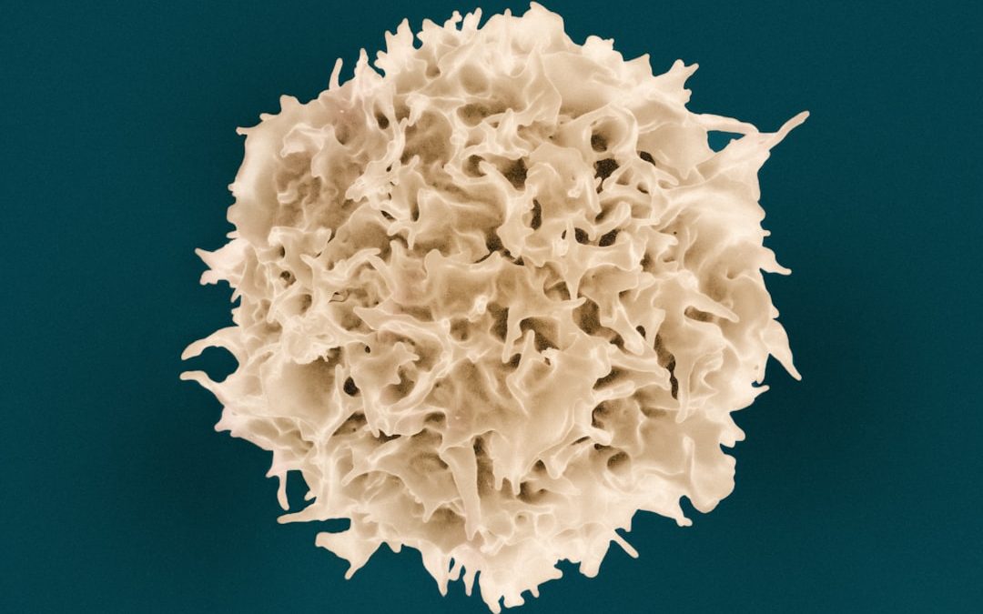 Limfóma mellkasban: tünetek, kezelés, prognózis