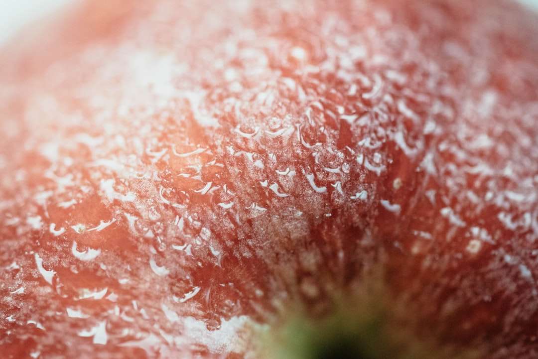 Photo skin diseases pictures