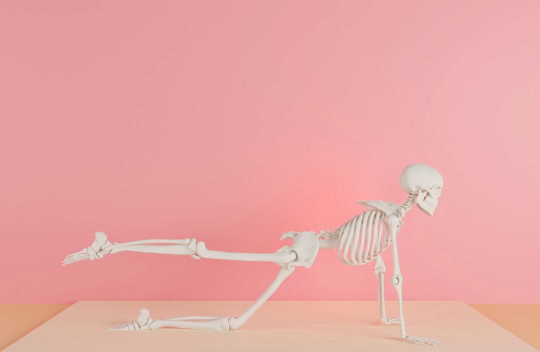 Photo anatomy