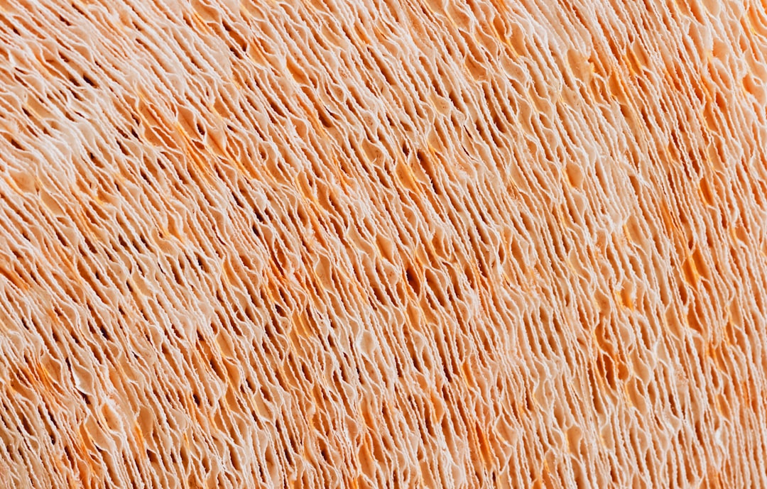 Photo fungal skin disease treatment