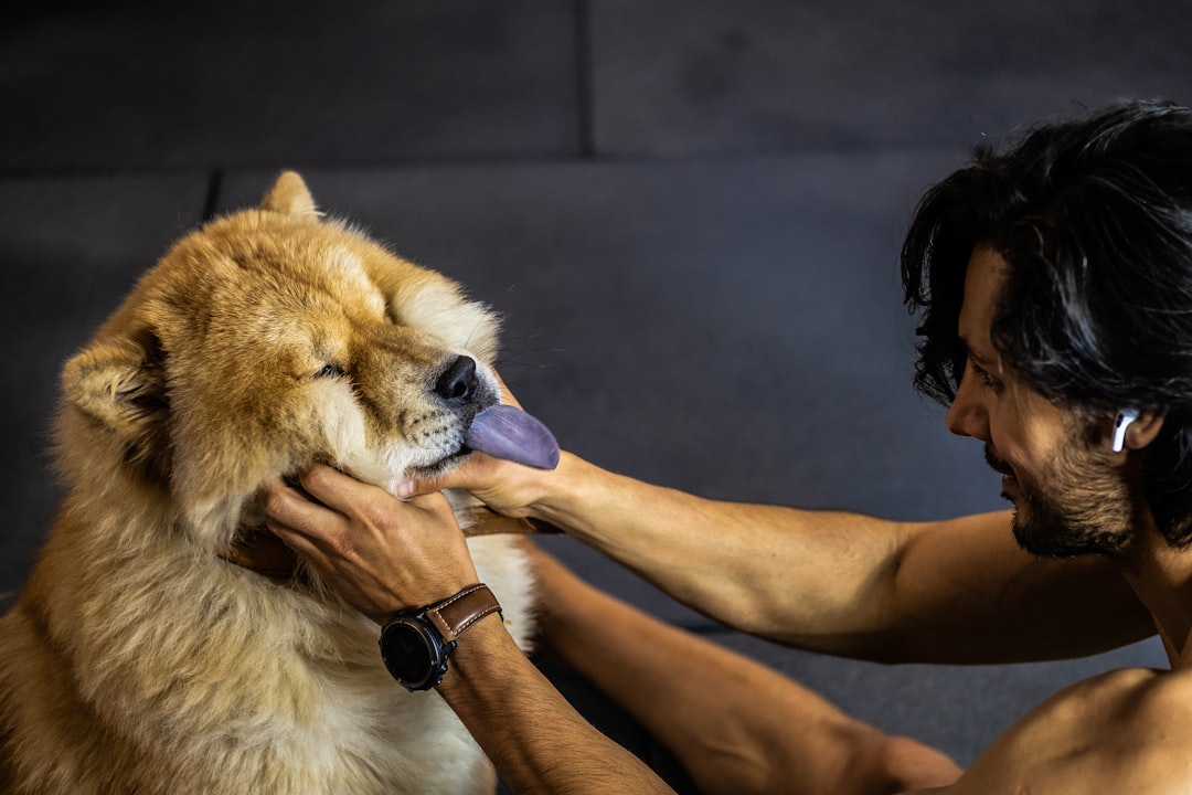 Photo dog skin disease treatment