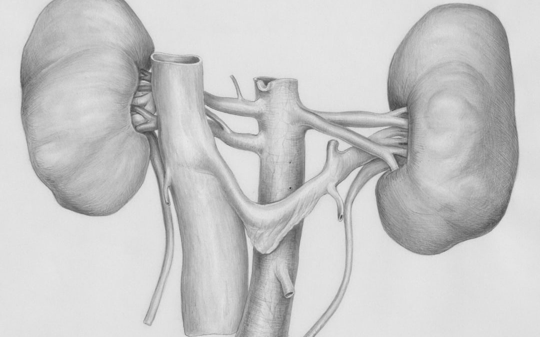 Photo small intestine passage
